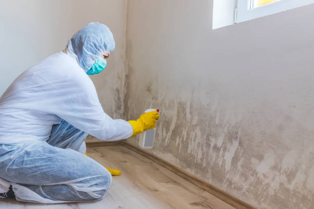 Crawl Space Mold Removal in Langdon, ND
