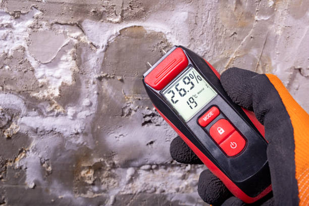 Best Attic Mold Removal  in Langdon, ND