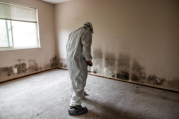 Langdon, ND Mold Removal Company